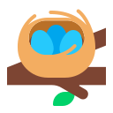 nido con uova