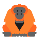 orangutan