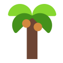 palm tree