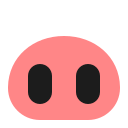 pig nose