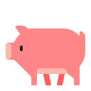 pig