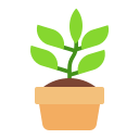 potted plant