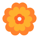 rosette