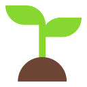 planta joven