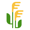 planta de arroz