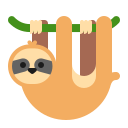 bradipo