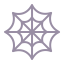 spider web