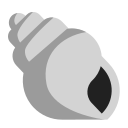 spiral shell