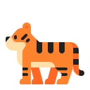 tiger