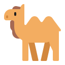 Kamel