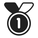 1st place medal