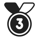 3rd place medal