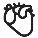 anatomical heart