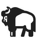 Bison