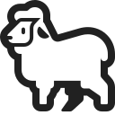 ewe