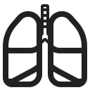 lungs