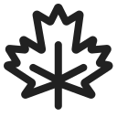 maple leaf
