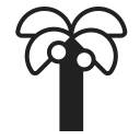 palm tree
