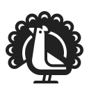peacock
