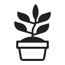 potted plant