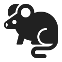 rat