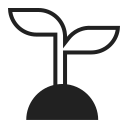 planta joven