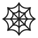 spider web
