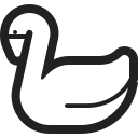 swan