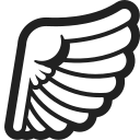 wing