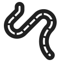 worm